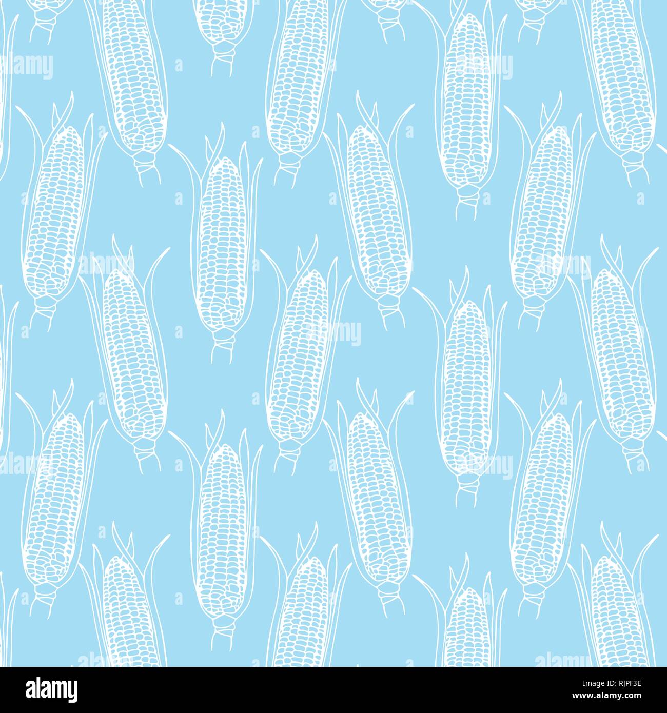 Vector hand drawn Corn cobs pattern in white color on light blue background Stock Vector