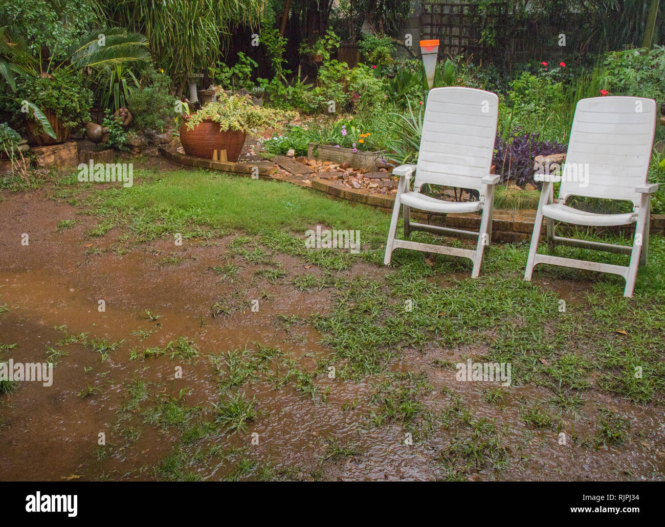 A Garden Wet From A Summer Rain Storm Image With Copy Space In