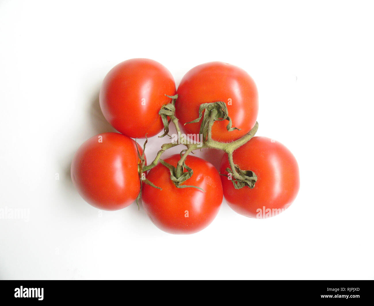 Tomatoes, São Paulo, Brazil Stock Photo