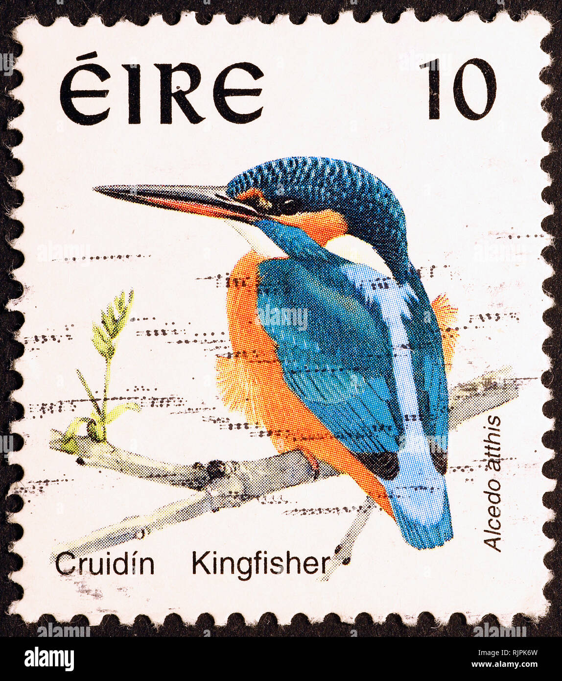 Common kingfisher on irish postage stamp Stock Photo