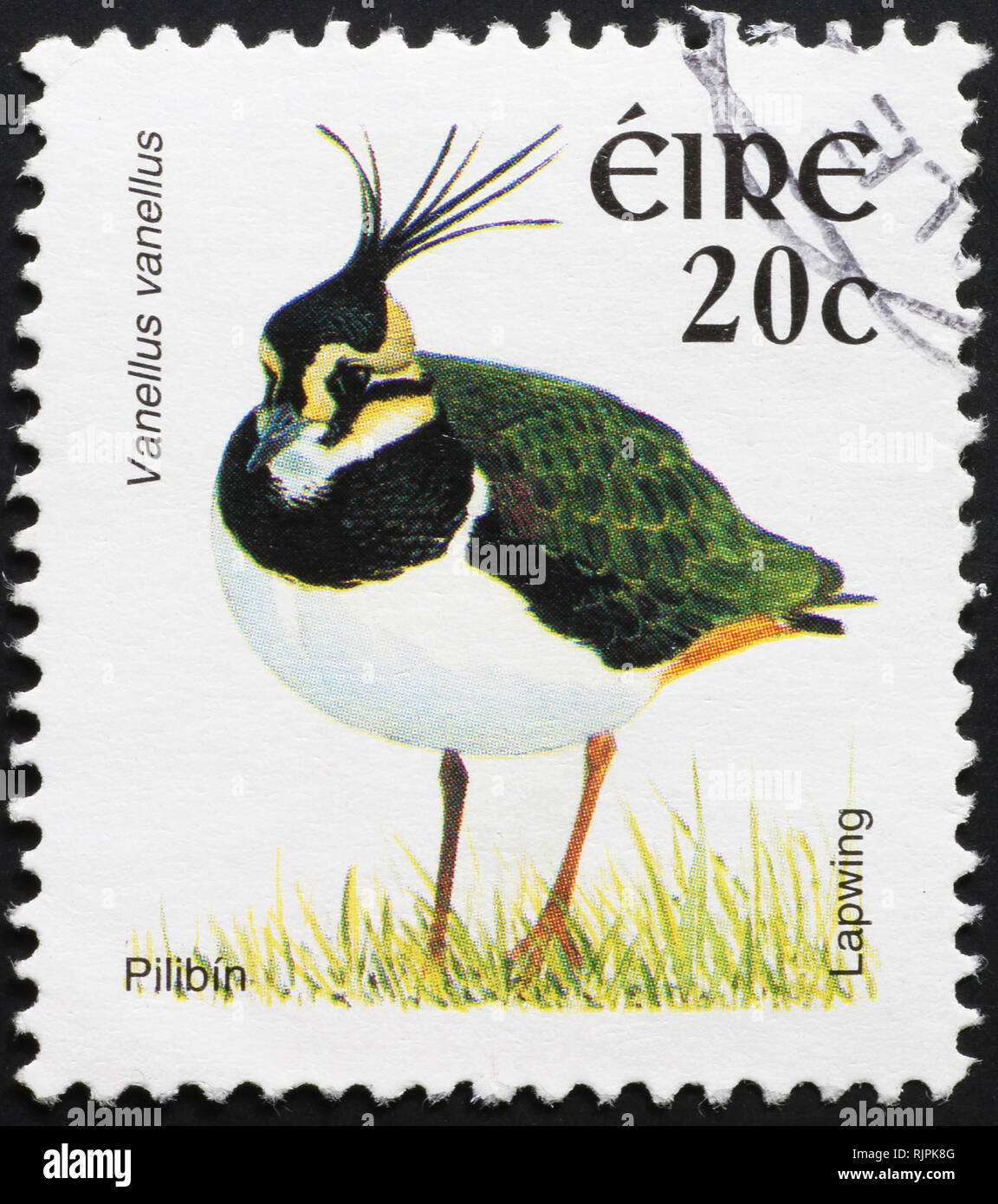 European lapwing on irish postage stamp Stock Photo