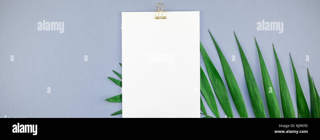 Creative top view mock up blank paper sheet postcard clipboard tropical ...