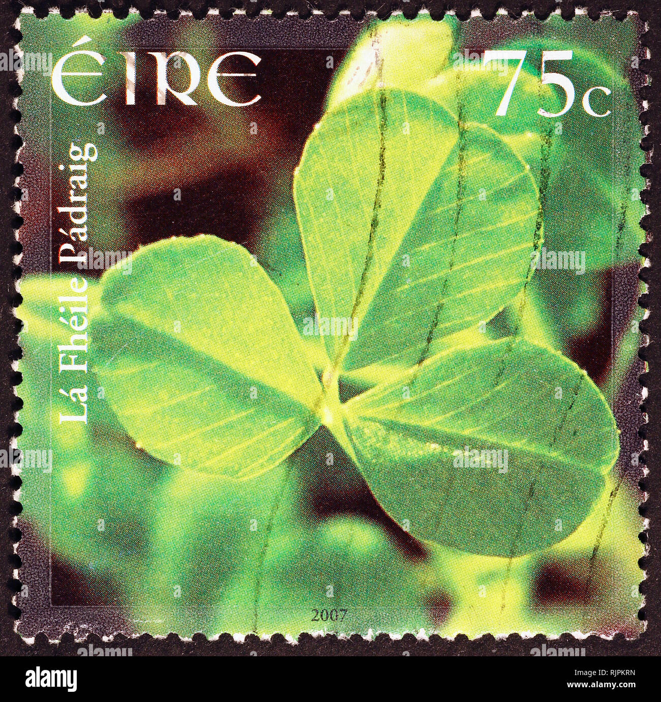 Shamrock on irish postage stamp Stock Photo