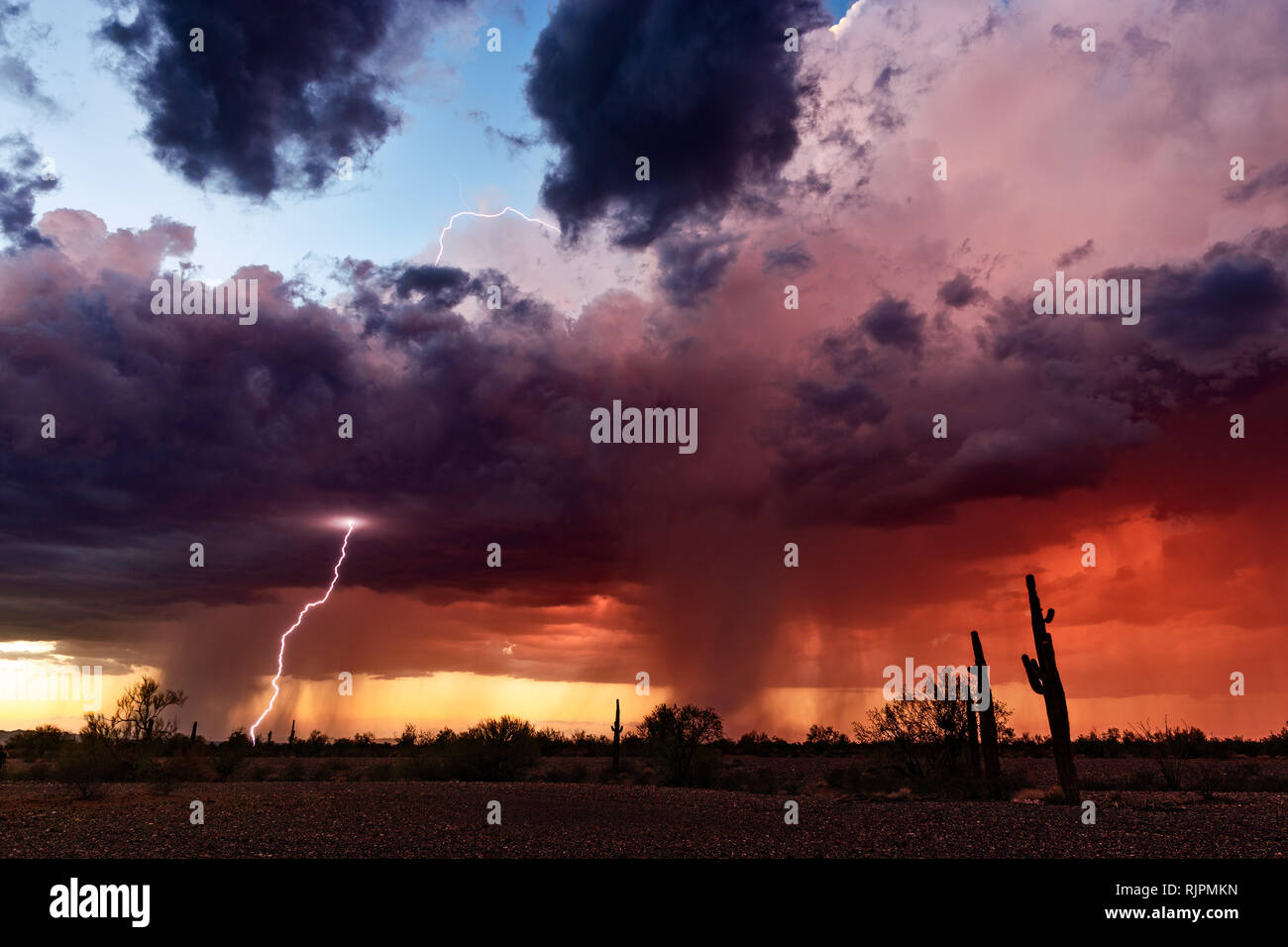 Scenic landscape with a lightning strike, sunset thunderstorm clouds ...