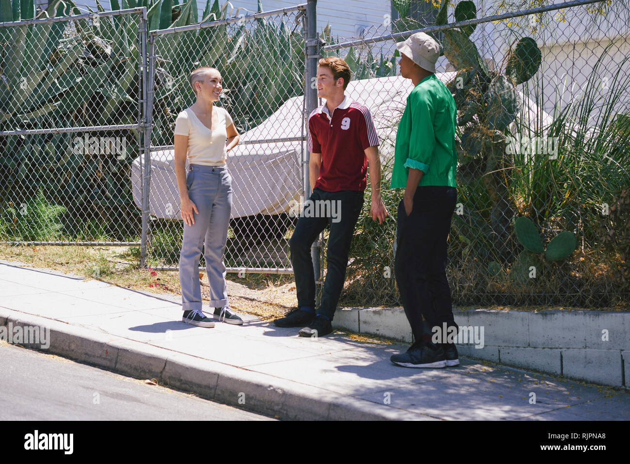 Young adult friends chatting on suburban sidewalk, Los Angeles, California, USA Stock Photo