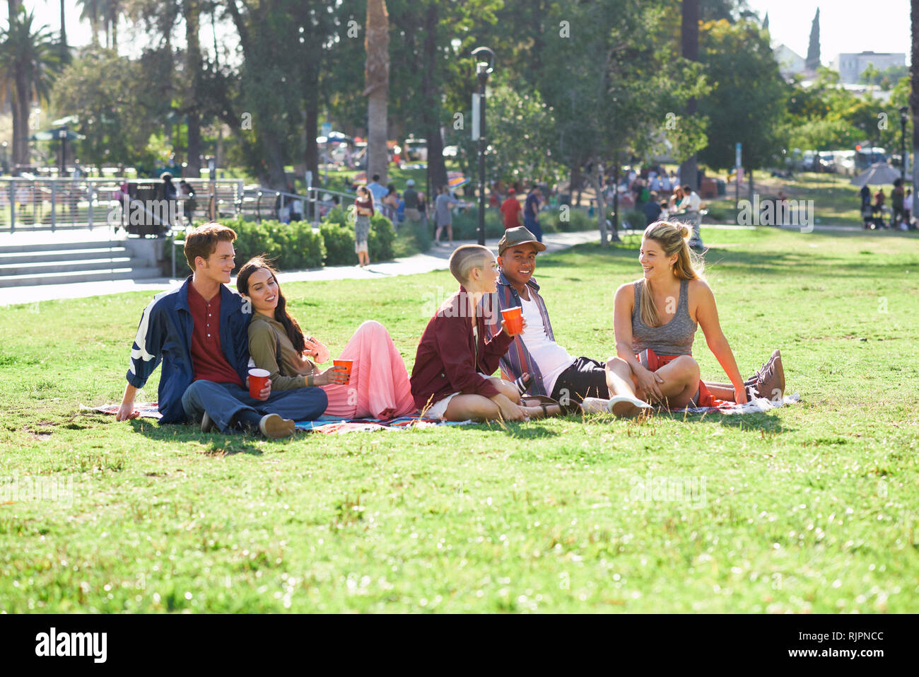 Five young adult friends sitting in park, Los Angeles, California, USA Stock Photo
