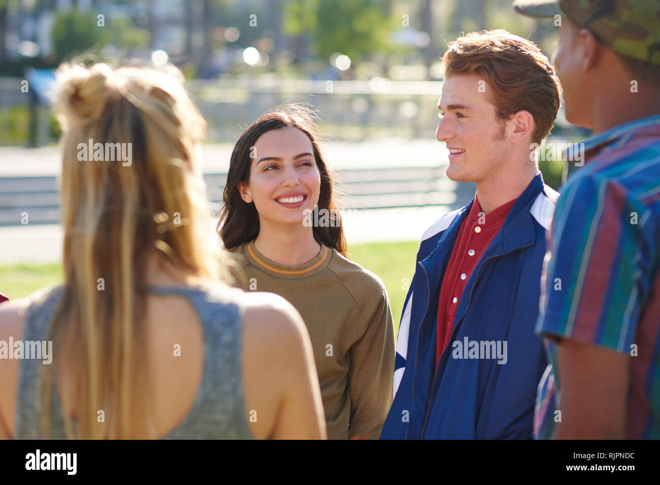 Four young adult friends chatting in park, Los Angeles, California, USA Stock Photo