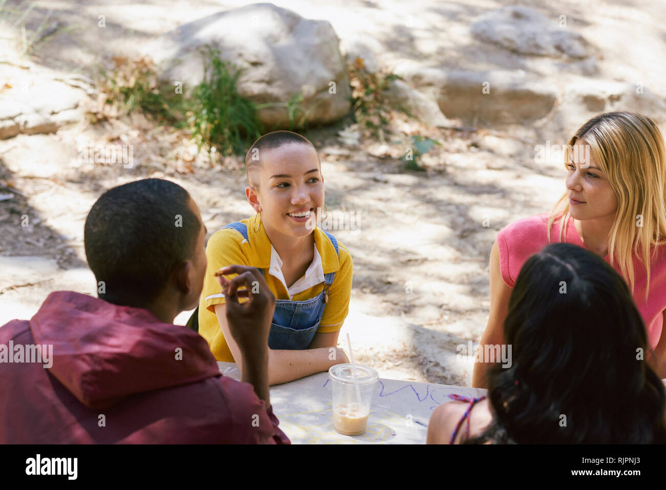 Four young adult friends chatting at park picnic table, Los Angeles, California, USA Stock Photo
