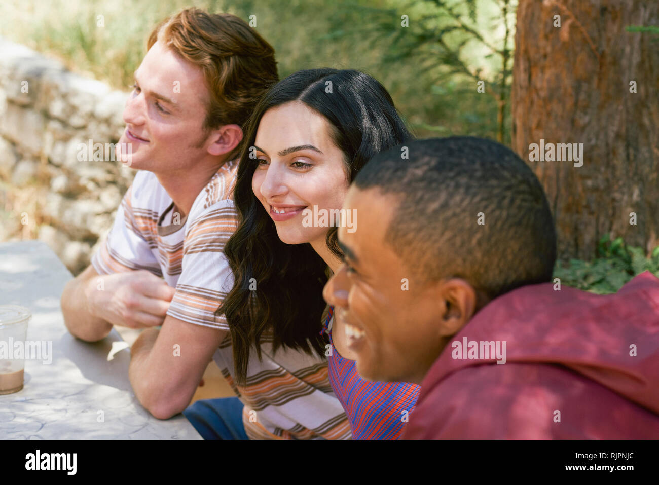 Three young adult friends chatting at park picnic table, Los Angeles, California, USA Stock Photo