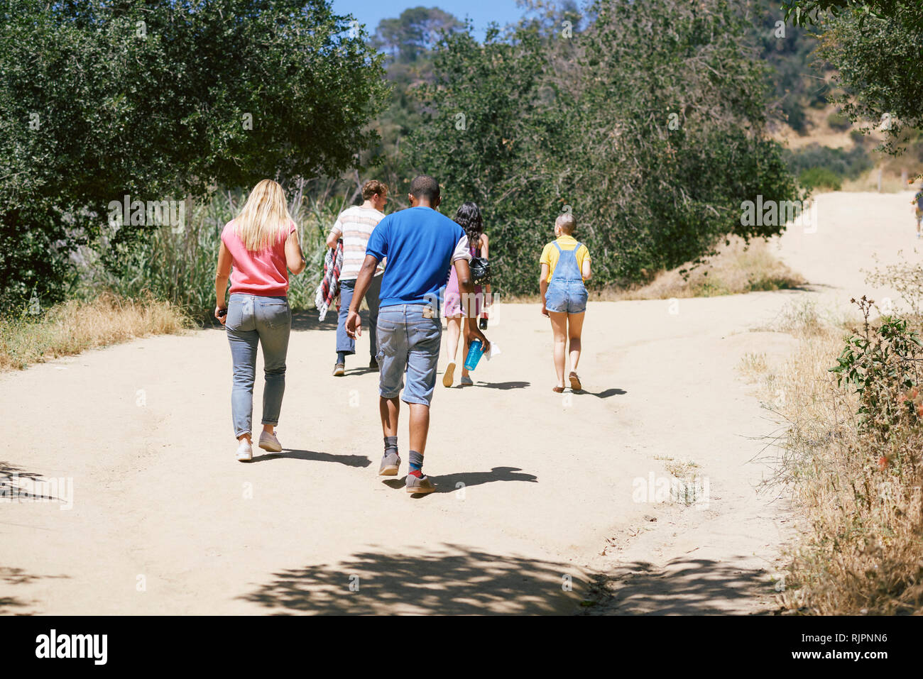 Five young adult friends walking in park, rear view, Los Angeles, California, USA Stock Photo