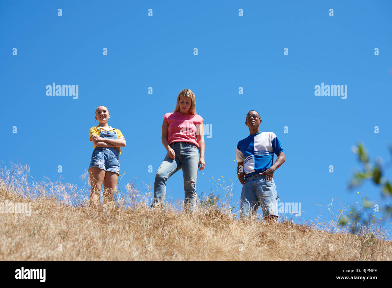 Three young adult friends on top of hill in park, low angle view, Los Angeles, California, USA Stock Photo