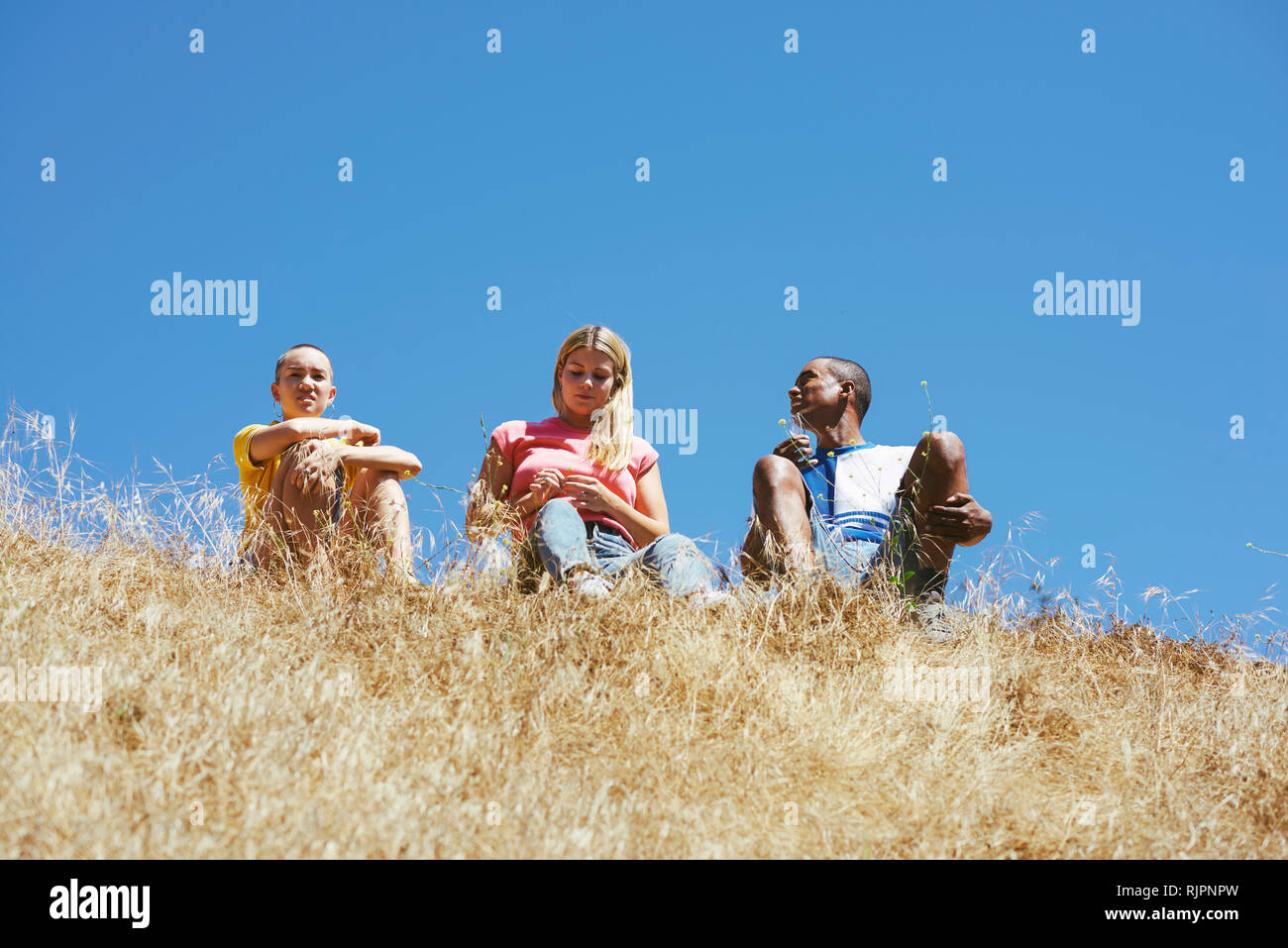 Three young adult friends sitting on top of hill in park, low angle view, Los Angeles, California, USA Stock Photo
