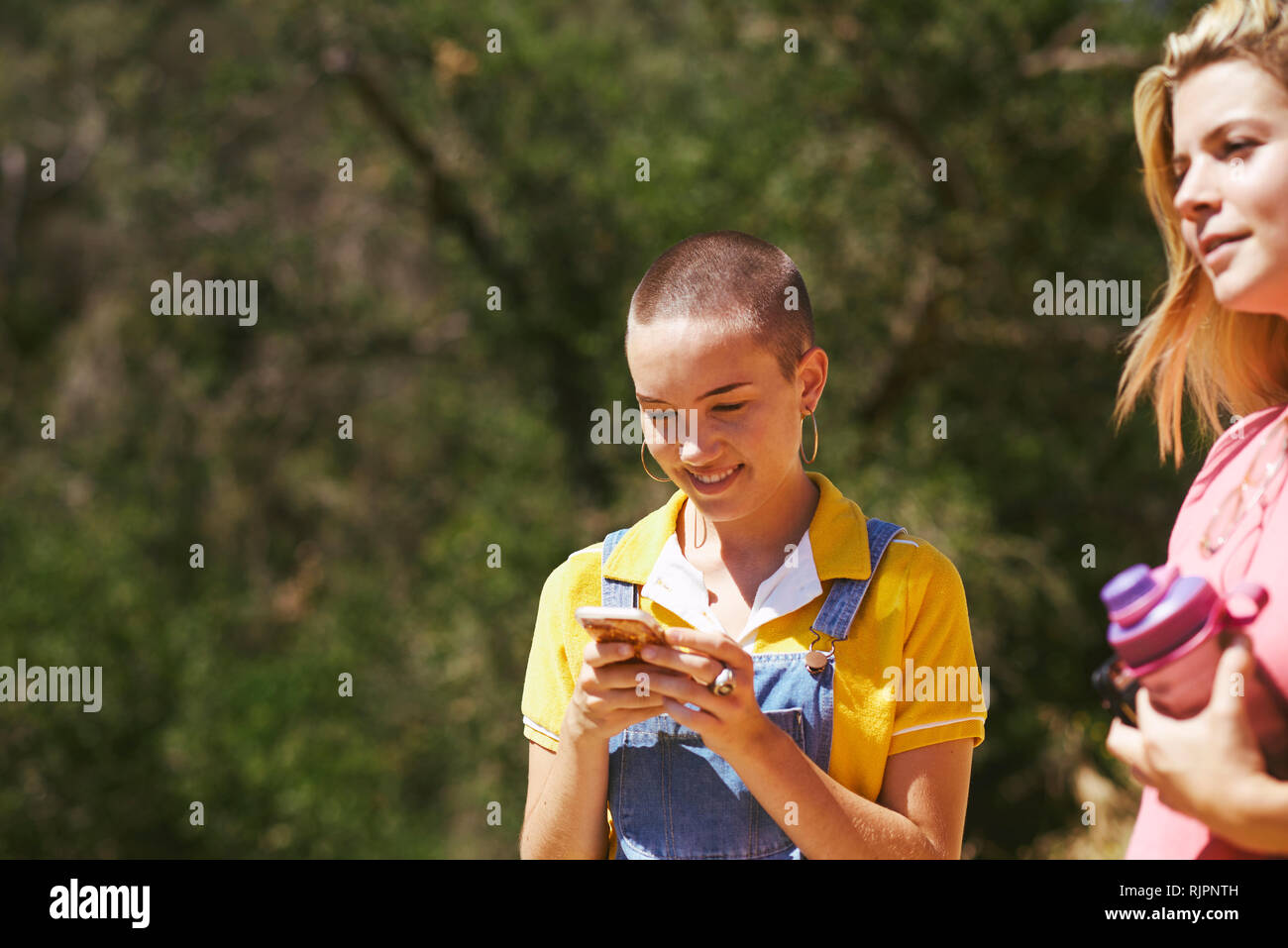 Young female friends looking at smartphone in park, Los Angeles, California, USA Stock Photo