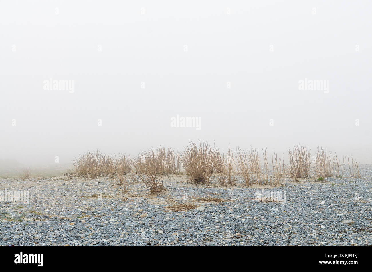Nebel an der Nordsee - Strand depressiv Stock Photo