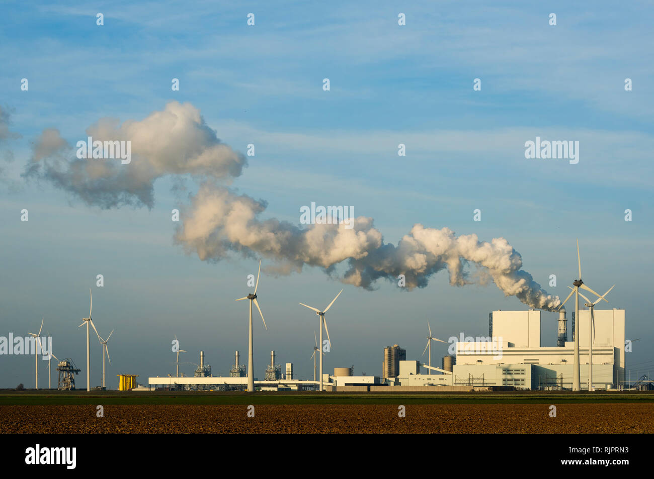Coal fired power station, Eemshaven harbour area, Groningen, Netherlands Stock Photo