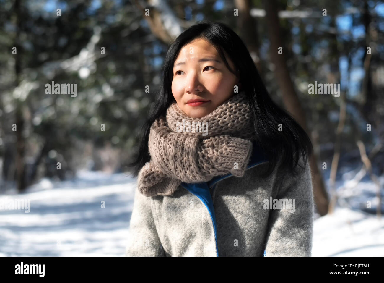A chinese woman looking away from the camera outside in a wintery scene at white memorial conservation area in Litchfield Connecticut, new england. Stock Photo