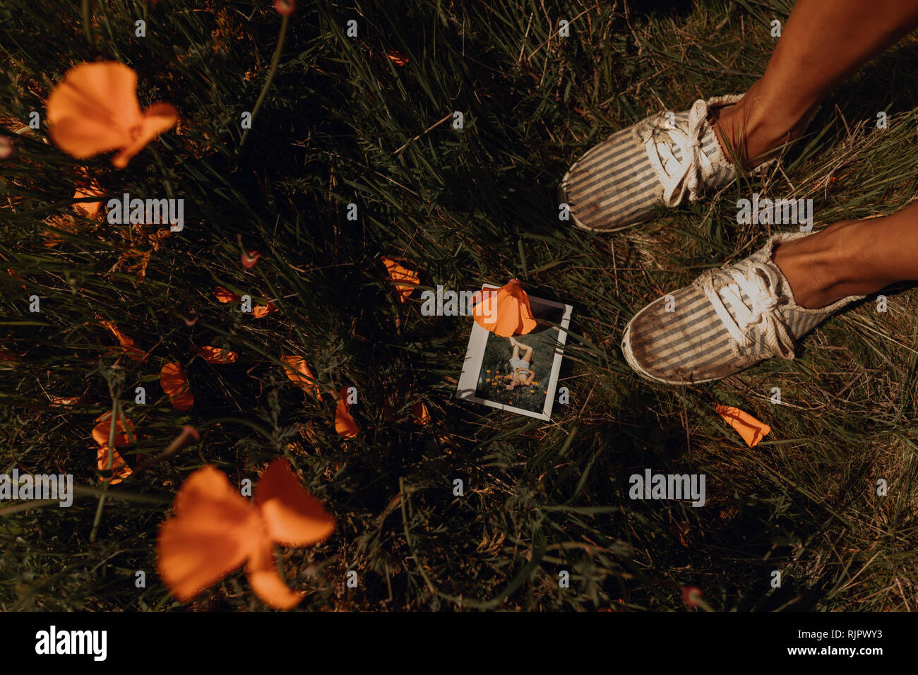 Young woman's feet by instant photo wildflower field, detail, Jalama, California, USA Stock Photo