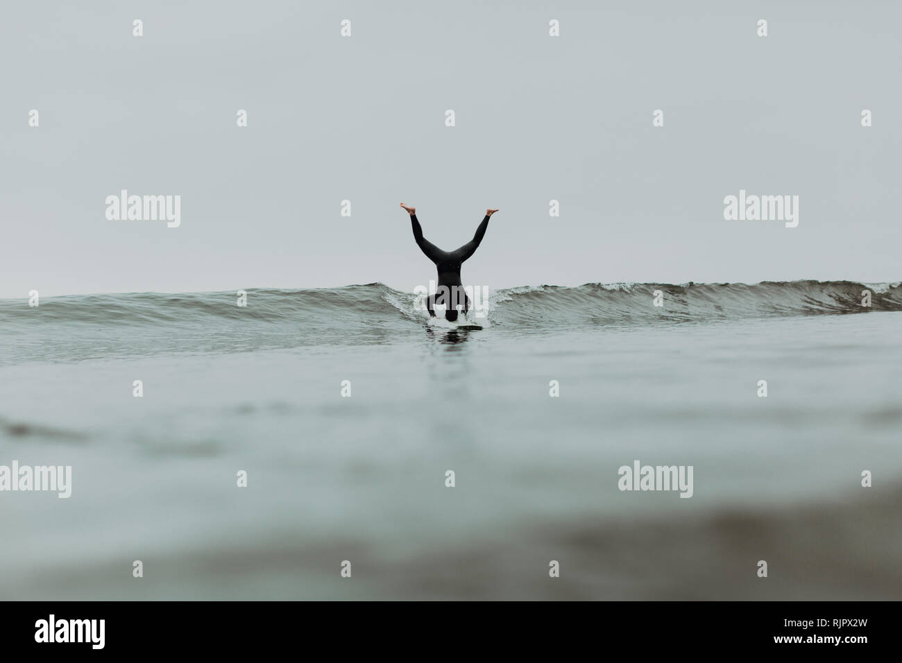 Sea headstand hires stock photography and images Alamy