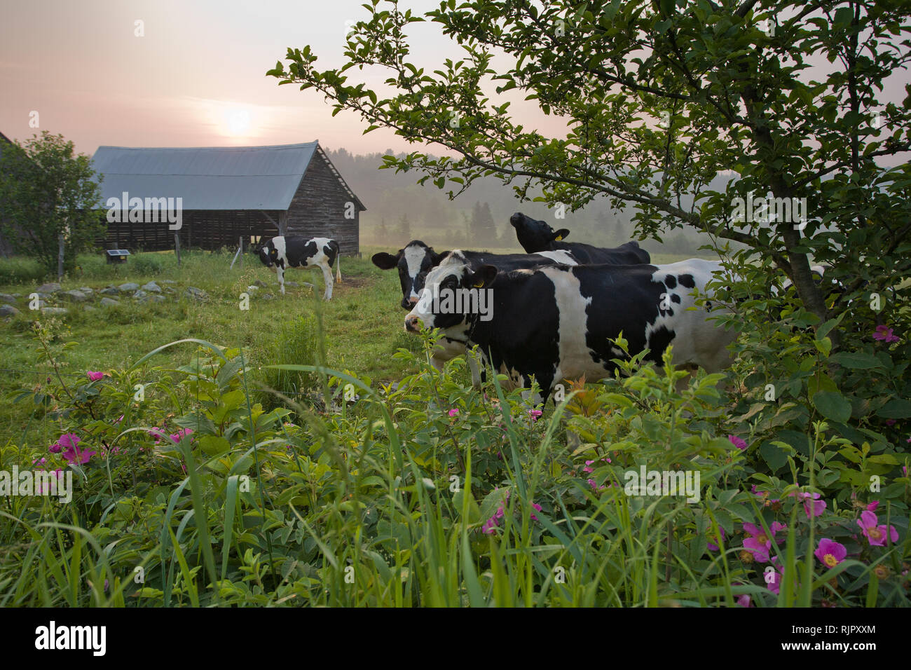 Kirby, Caledonia County, Vermont, USA Stock Photo Alamy