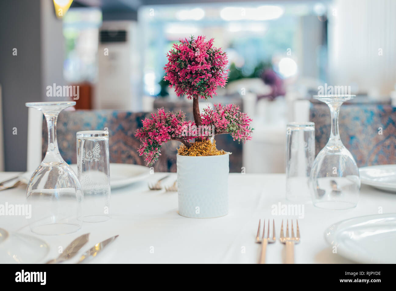 Restaurant Fine Dining Table Setting For Event Stock Photo