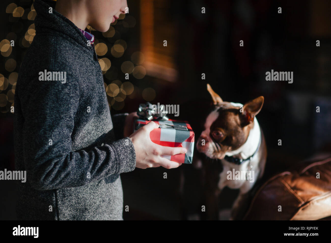 Dog presents hi-res stock photography and images - Alamy