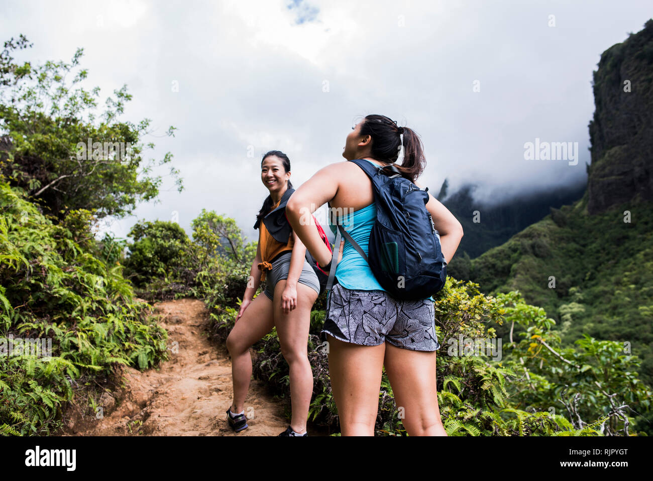 Rainforest in hawaii hi-res stock photography and images - Alamy