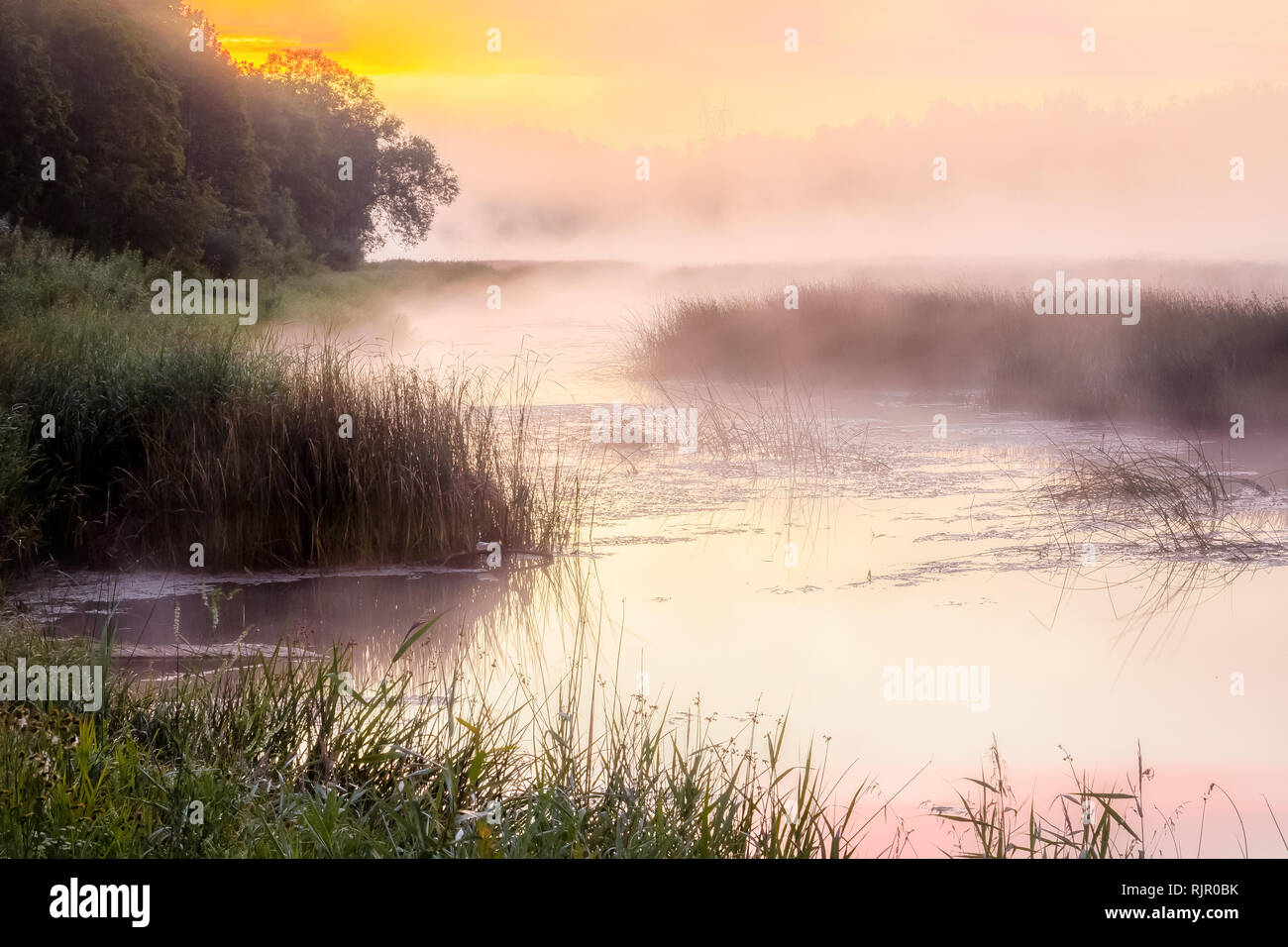 Foggy sunrise over the river, golden hour sky, fog above river ...
