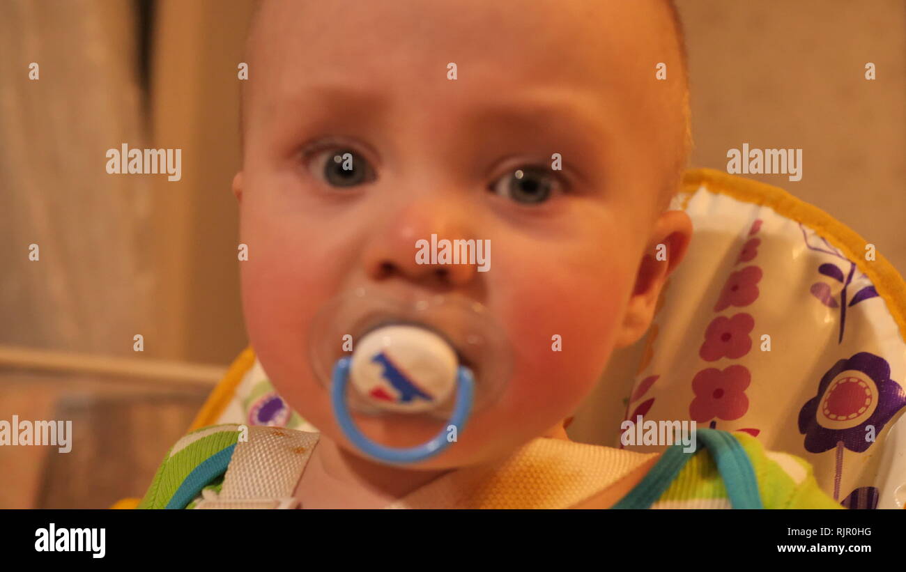 close up portrait of little charismatic baby boy with soother in mouth