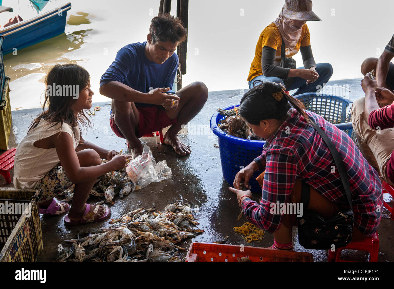 Cambodia, Preah Koh Kong, Prek Kaoh Pao river, Dong Tung Port building, fishing family sorting catch of crabs on quay Stock Photo