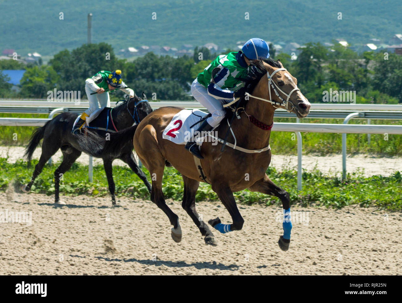 Horse race for the traditional prize Absenta in Pyatigorsk,the largest in Russia. Stock Photo