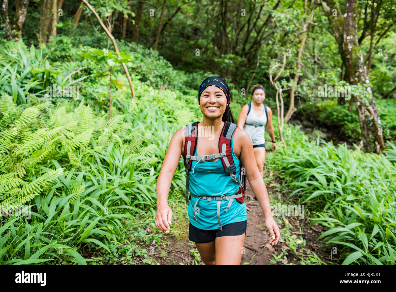 Hikers on Moanalua Valley Trail, Oahu, Hawaii Stock Photo