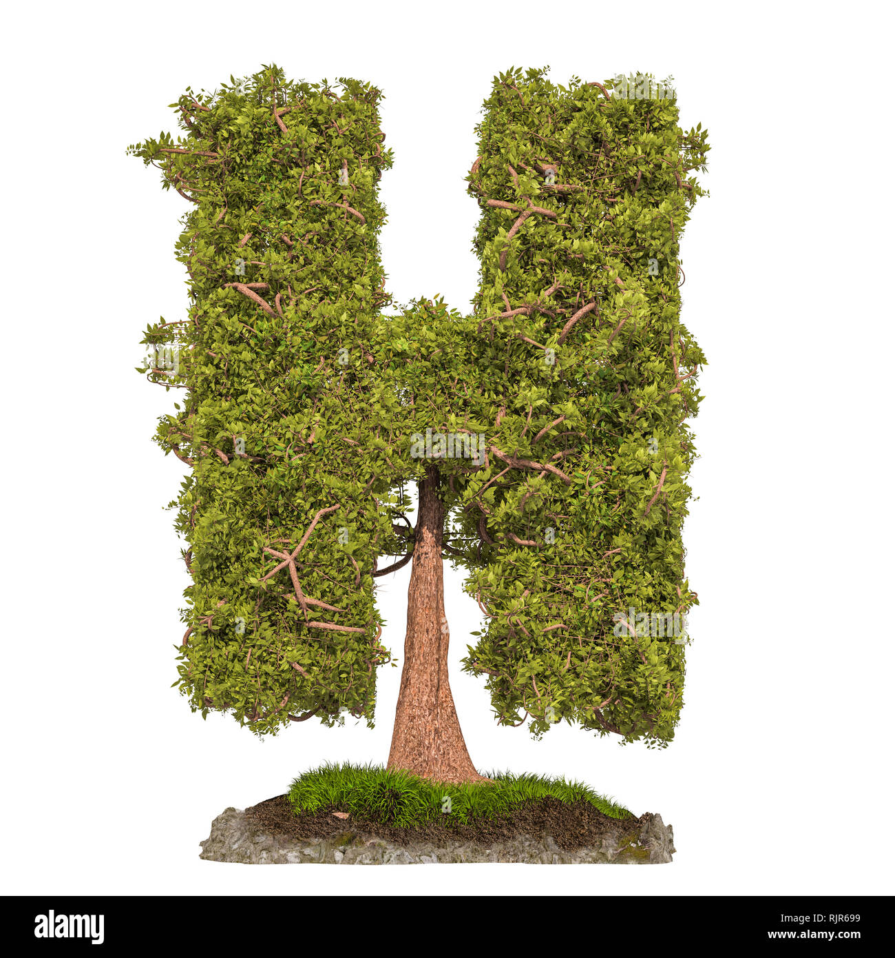 tree-letter-h-tree-in-shaped-of-letter-h