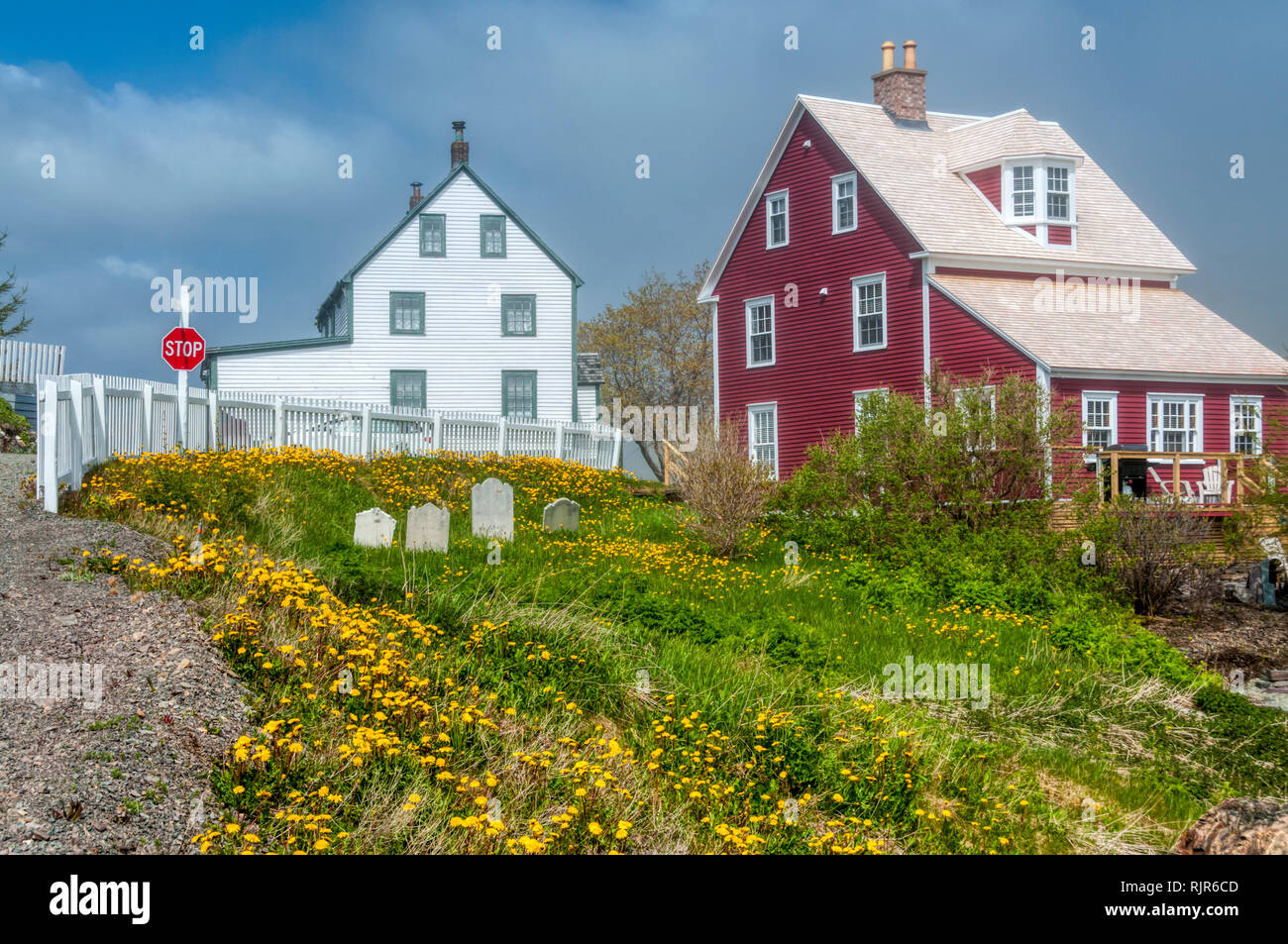 Colourful weatherboarded houses in Trinity, Newfoundland Stock Photo