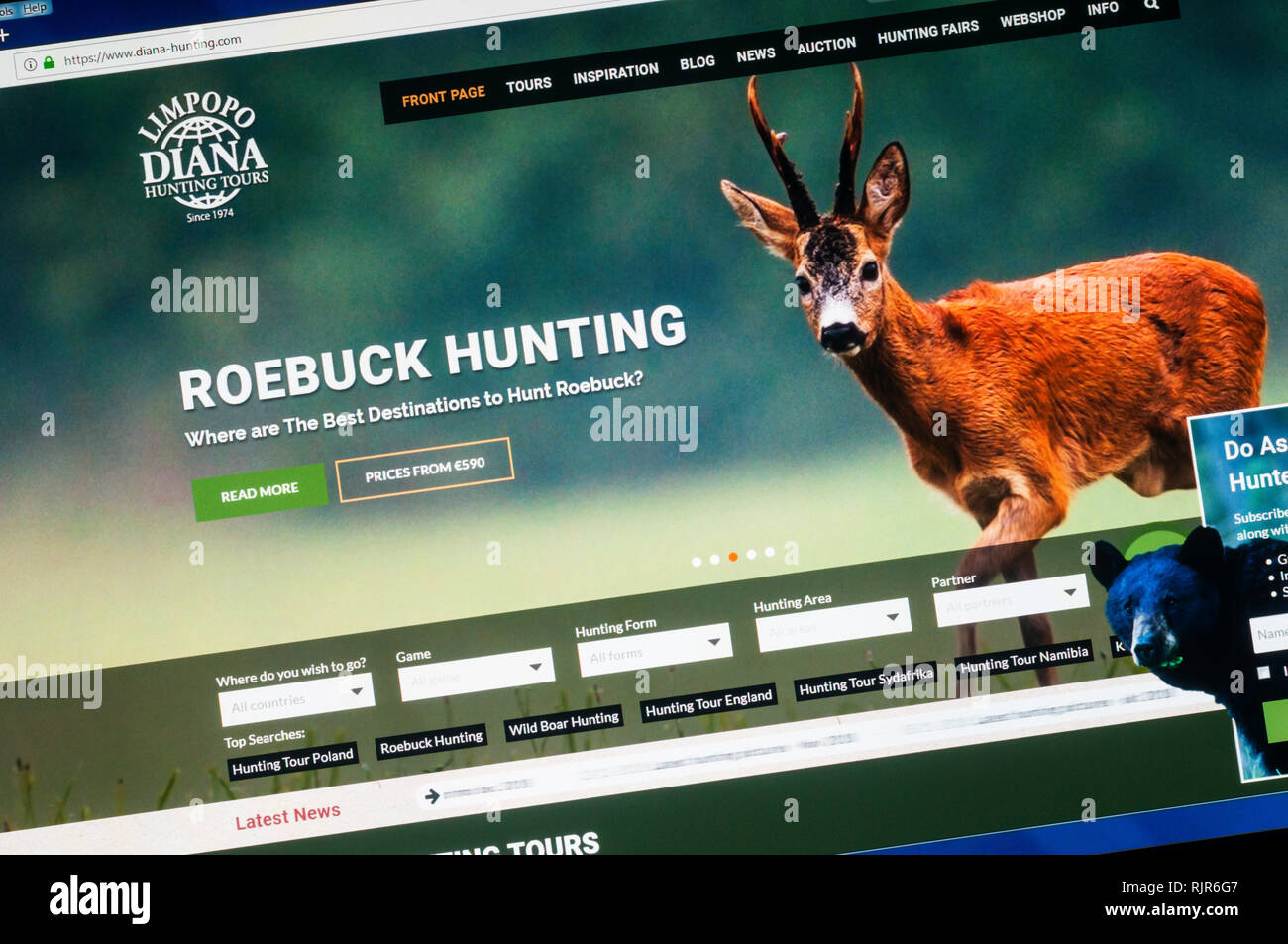 Home page of the website of Diana Hunting Tours promoting their roebuck hunting tours. Stock Photo