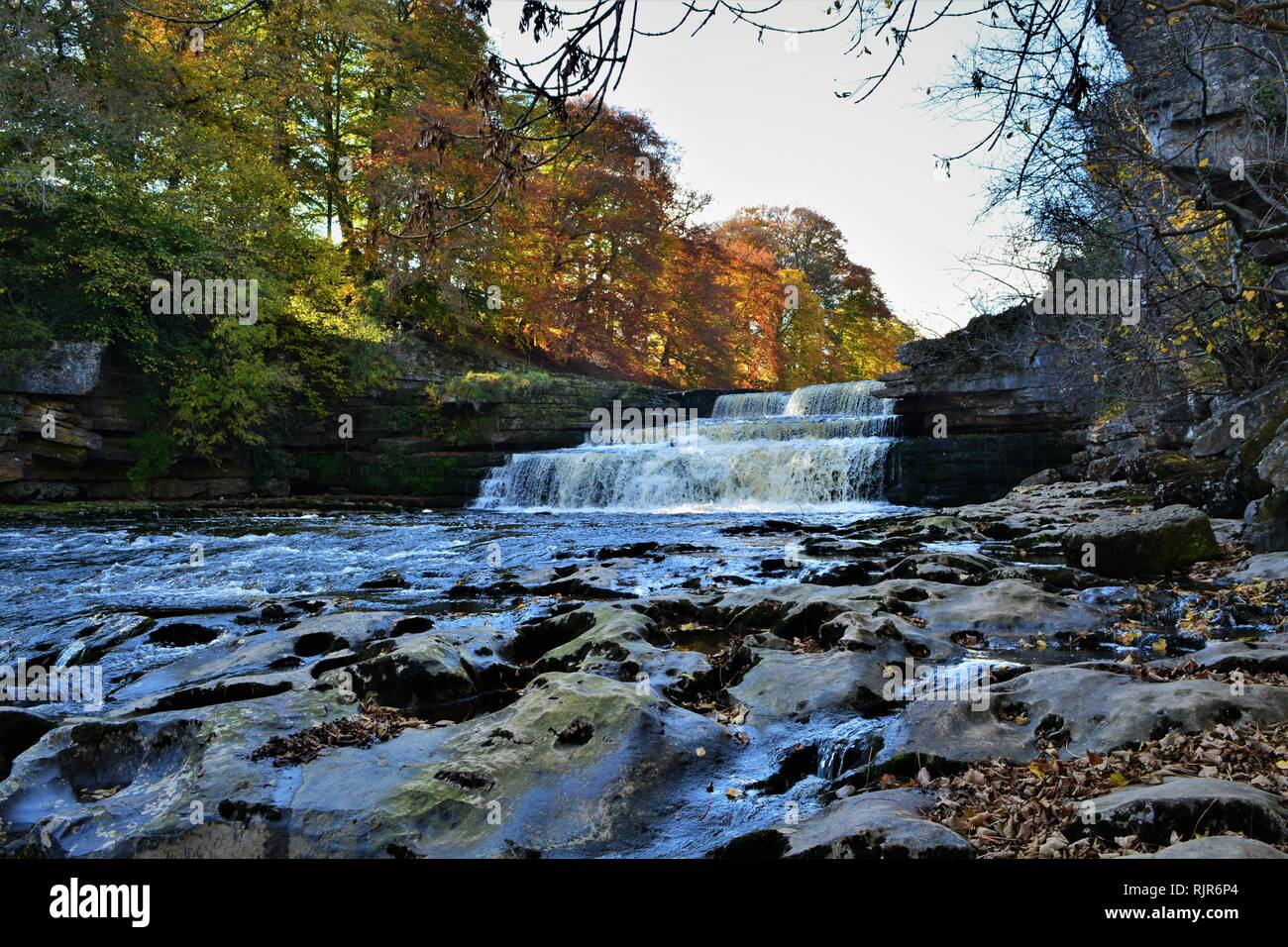 Aysgarth falls, lower fall in autumn. Yorkshire waterfall. Stock Photo