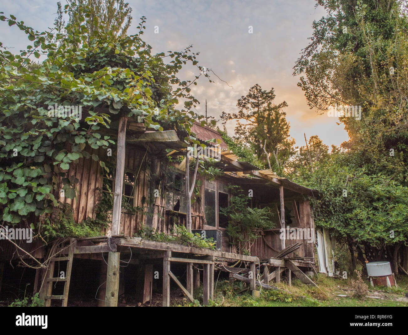 Misty Moonbeam's house, overgrown and abandonded, Ahu Ahu Ohu