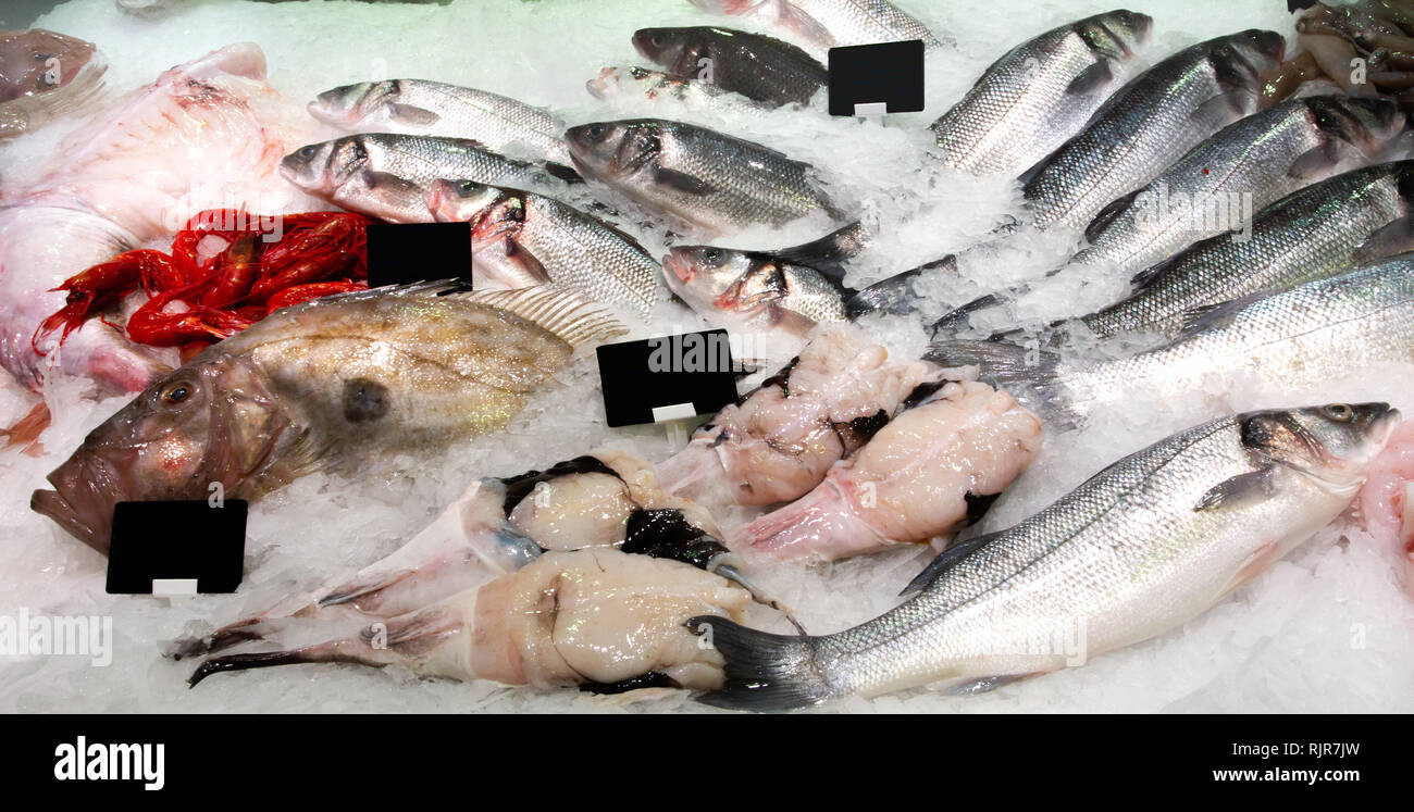 Various fresh fish lying on the ice on the counter Stock Photo