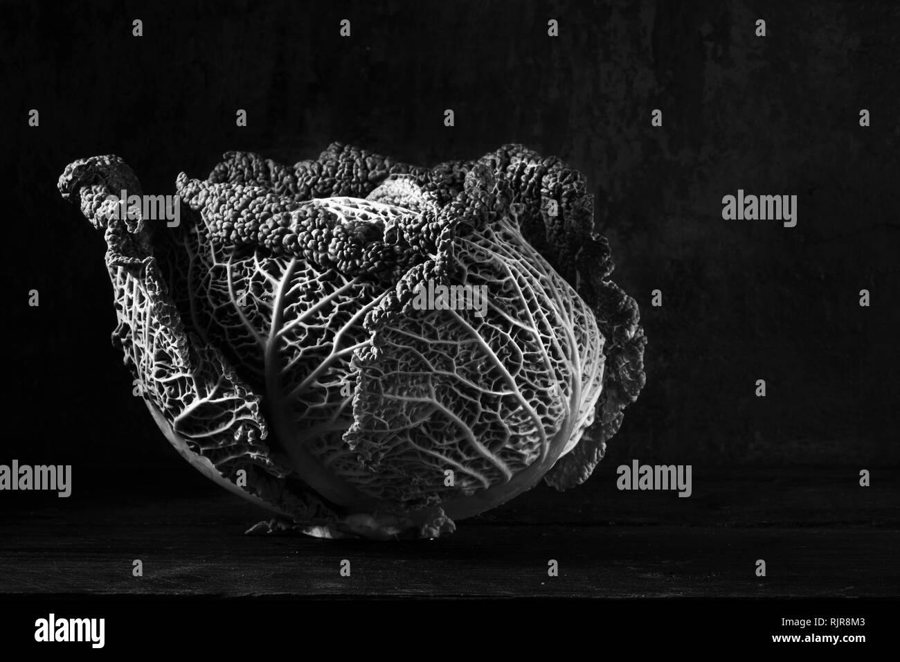 savoy cabbage, a healthy winter vegetable on a dark and moody background with copy space, black and white, selected focus Stock Photo