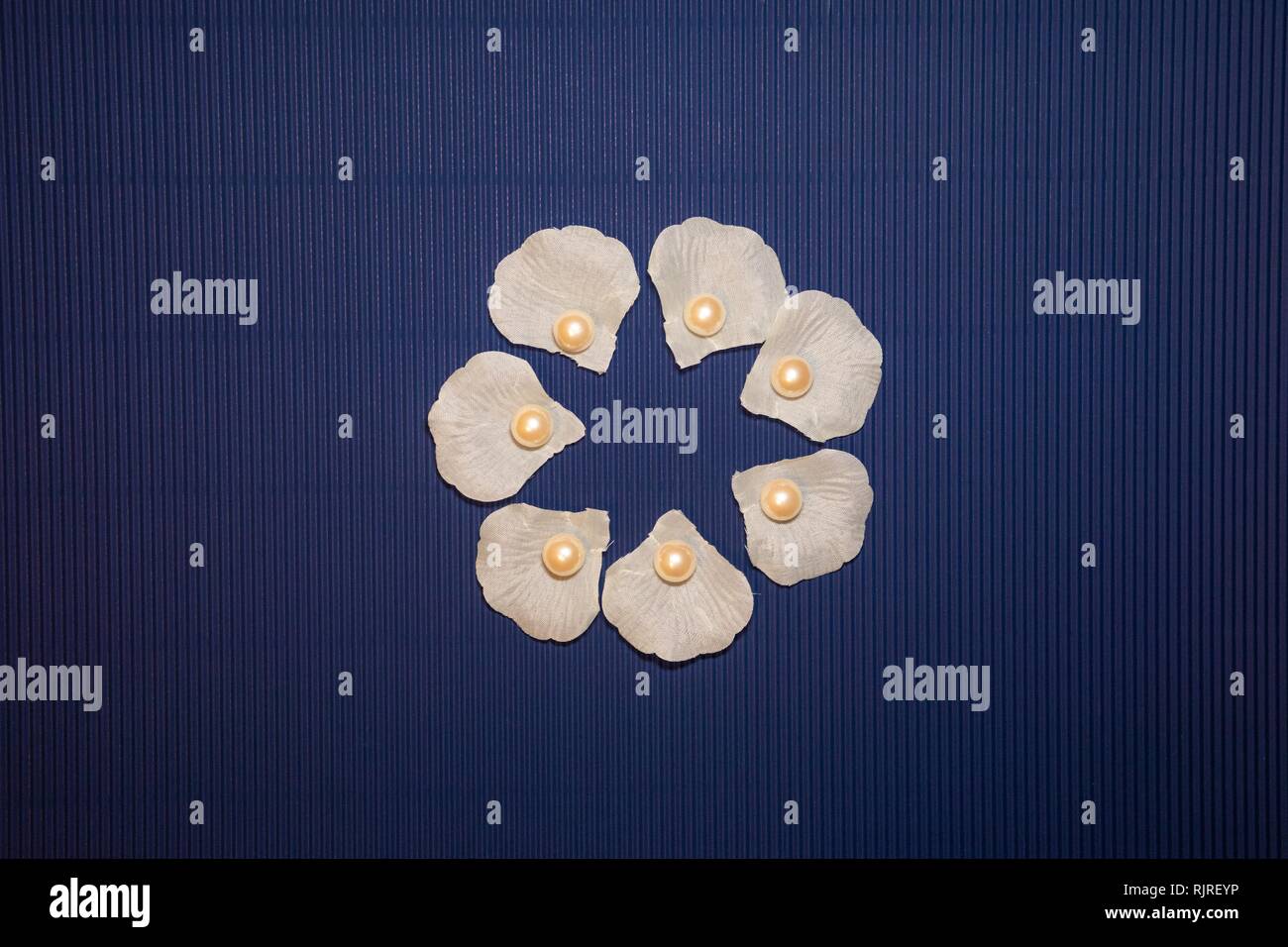 Seashell pearls on dark blue background Stock Photo
