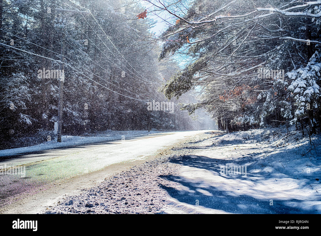 White memorial conservation area hires stock photography and images
