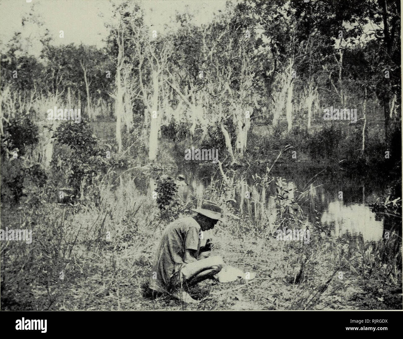 Yarraden hi-res stock photography and images - Alamy