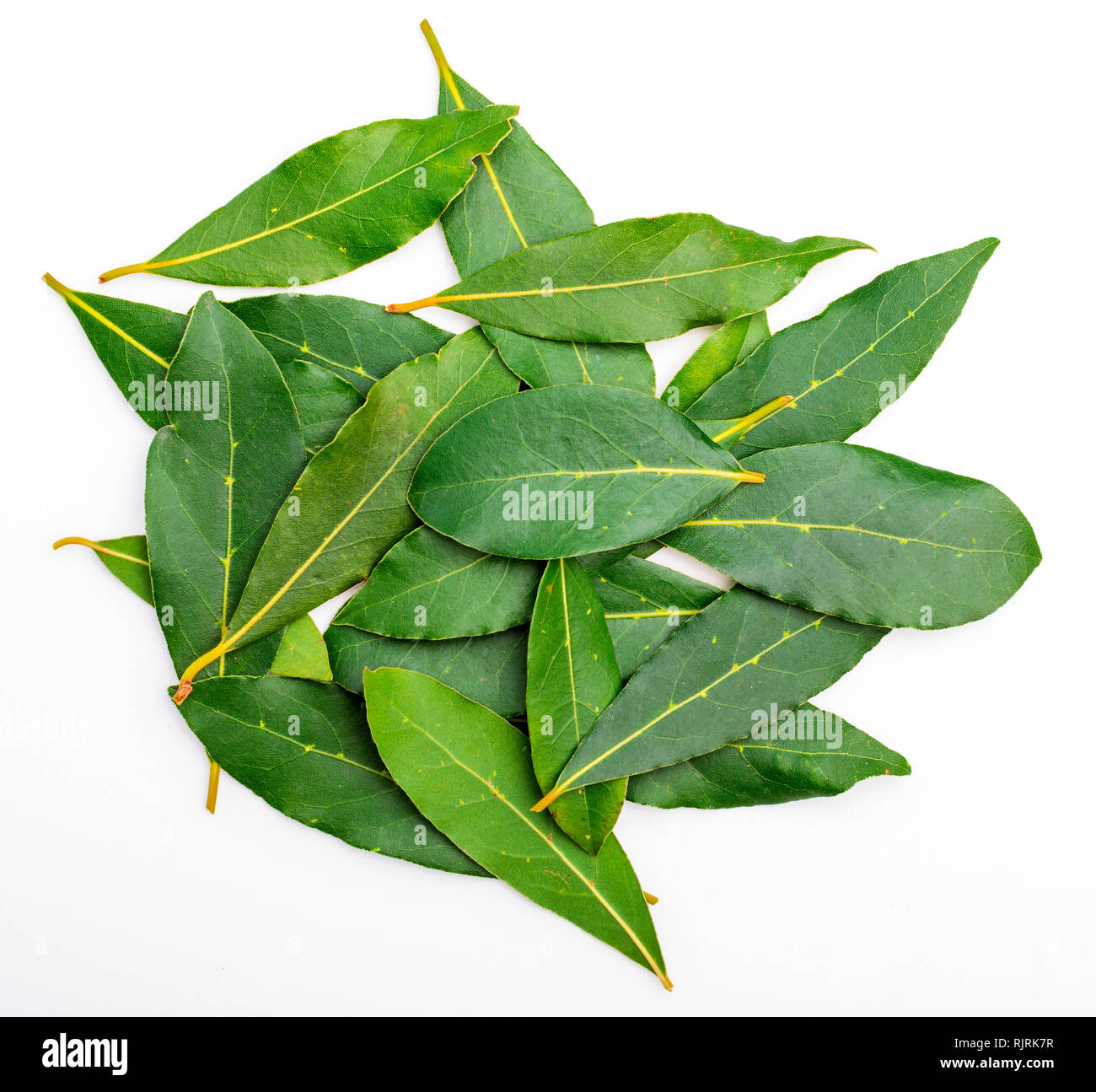 Fresh and dry bay leaves. With balls of black pepper. Isolated on white