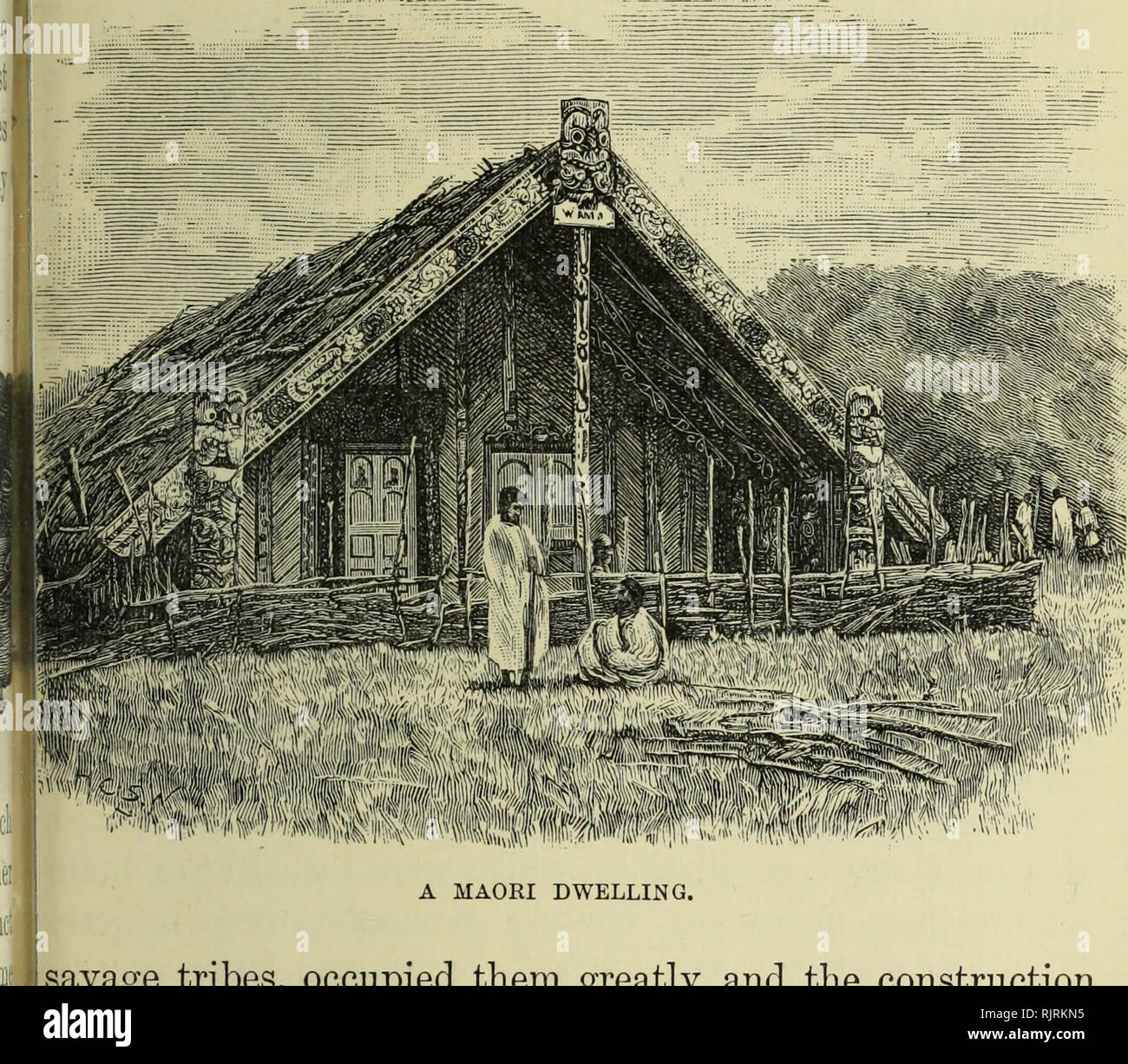 . Australia and New Zealand. Natural history; Natural history. NEW ZEALA.ND : PHYSICAL GEOGKAPHY 451 and good agriculturists; and the amount of skill and energy necessitated in these pursuits, in building houses and canoes, in making clothing, and in forming the various weapons and implements which they required from stone, wood, or shell, furnished the needful stimulus for an active and healthy existence. War too, as among all. 'fti*iyiAii#tH'ft &quot; 1' A MAORI DWELLING savage tribes, occupied them greatly, and the construction of forts and defences was added to the regular labours of ever Stock Photo