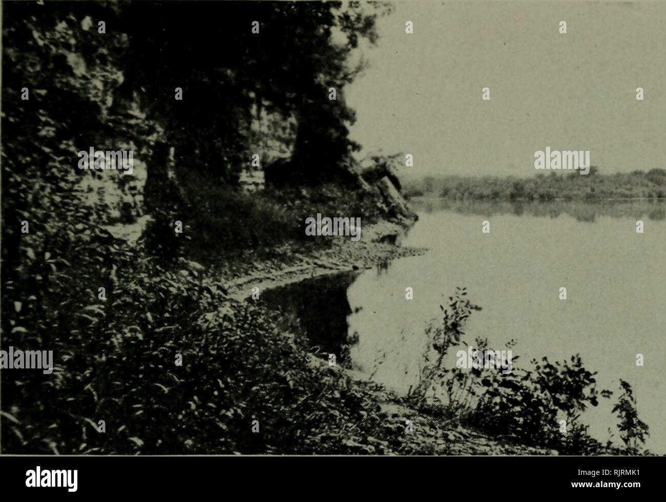. The Audubon annual bulletin. Birds; Birds. ILLINOIS AUDUBON SOCIETY 13. -» NEAR BYRON, ILLINOIS A Boyhood on Rock River The readers of the Audubon Bulletin would, perhaps, be interested in a boy's reaction to a Rock River environment. To get the setting, imagine a great shallow bowl about two miles across, not much over a hundred feet deep, very gently sloping sides and a level bottom about a mile wide. On this level bottom lies a sleepy little village, on a terrace well above even the flood waters of the stream which has been trenching the valley ever since the time of an earlier glacier. T Stock Photo