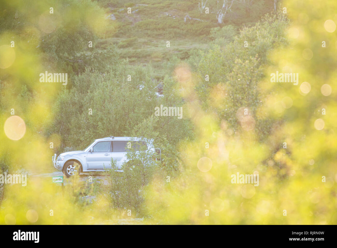 Looking through foliage to stationary silver four wheel drive car by hillside, side view Stock Photo