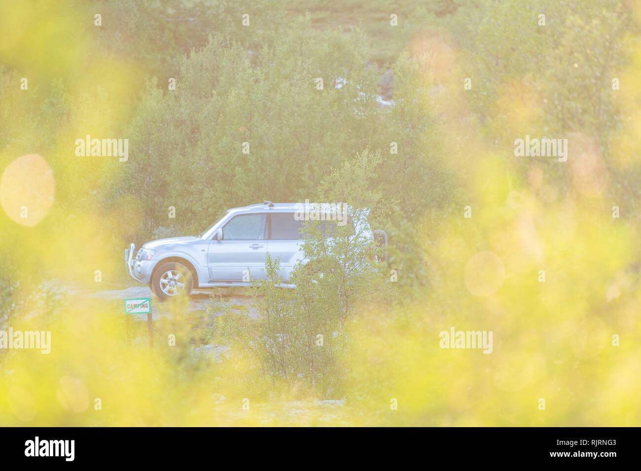 Looking through yellow foliage to stationary silver four wheel drive car, side view, full length Stock Photo