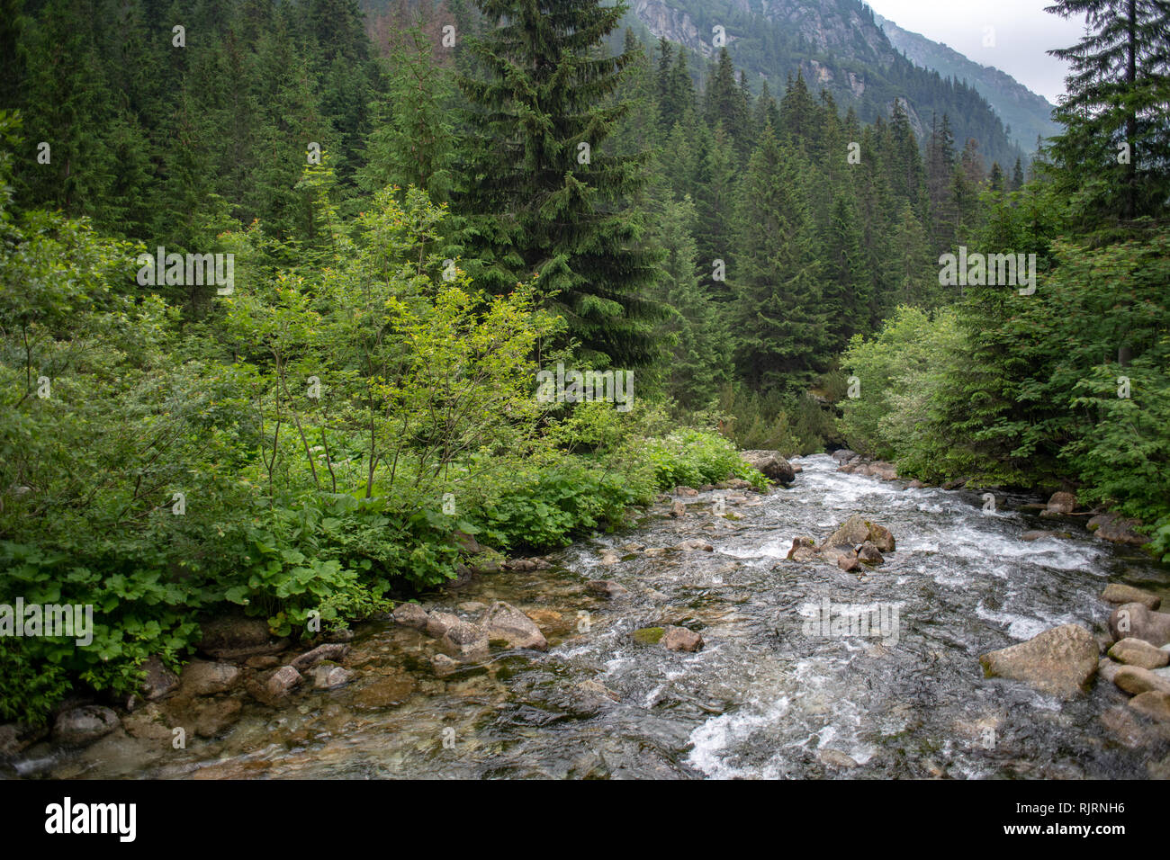 The River Roztoka  in the Tatra National Park,Lesser Poland Voivodeship, Poland. Stock Photo