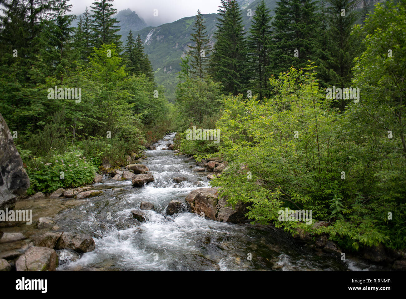 The River Roztoka  in the Tatra National Park,Lesser Poland Voivodeship, Poland. Stock Photo