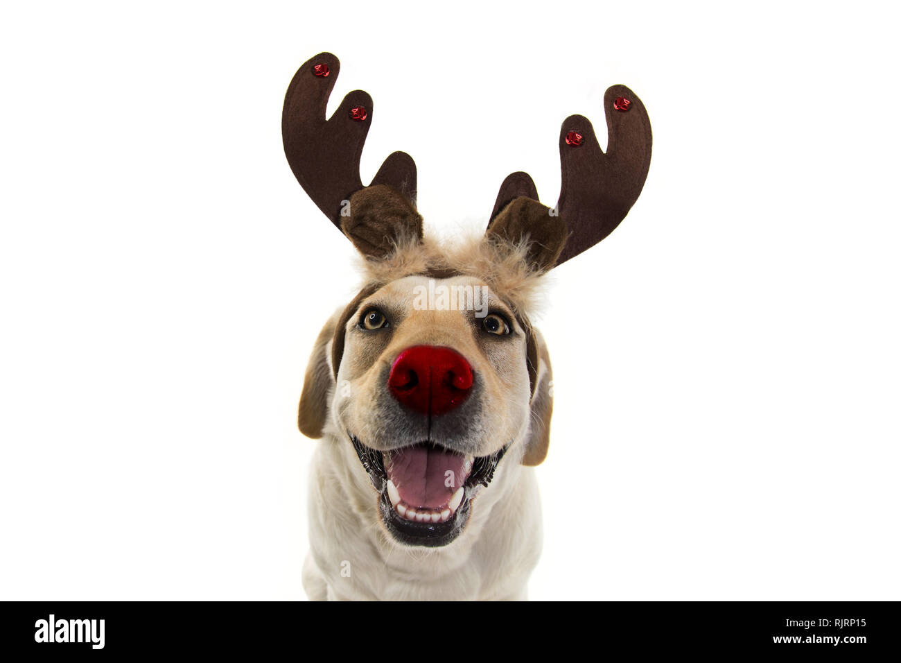 Fake best sale reindeer antlers