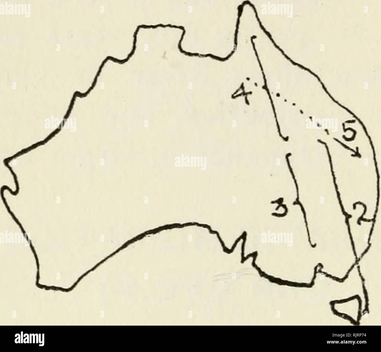 . Australian bird maps. Birds -- Australia. 78 AUSTRALIAN BIRD MAPS. MAP 36 Internal Migration and Eastern Distribution: e.g. Chats (Ephthianura). 2. Approximate North and South migration limits of the White-fronted Chat (E. albifrons). 8. Summer home of Tricoloured—and Orange— fronted Chats (E. tricolor and E. aurifrons). 4. Winter home of Tricoloured—and Orange^— fronted Chats. 5. Changed line of migration in drought season.. Please note that these images are extracted from scanned page images that may have been digitally enhanced for readability - coloration and appearance of these illustra Stock Photo